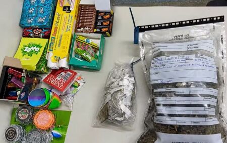A express&atilde;o "delivery de playboy" foi empregada pela pol&iacute;cia para caracterizar a modalidade de venda investigada. 