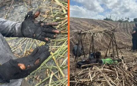 Mais de 800 cortadores de cana denunciam condi&ccedil;&otilde;es degradantes em Pernambuco