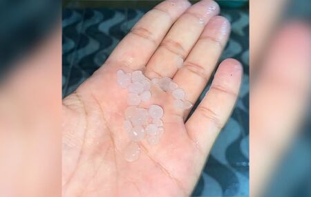 Fen&ocirc;meno ocorre em uma regi&atilde;o conhecida pelas temperaturas elevadas e pelo clima semi&aacute;rido.