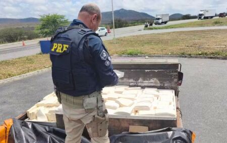 A vistoria no ve&iacute;culo constatou a carga aliment&iacute;cia transportada de forma irregular.