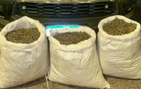 POL&Iacute;CIA MILITAR APREENDE MAIS DE 20 KG DE MACONHA NO SERT&Atilde;O 