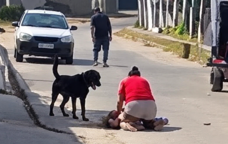 Rottweiler ataca crian&ccedil;a e av&oacute; 