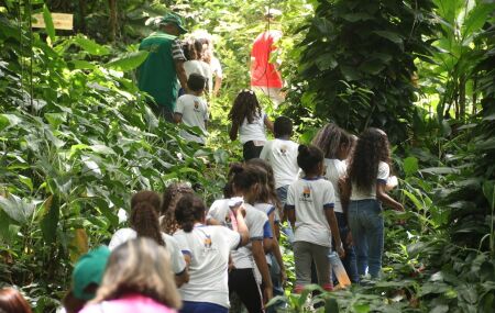 Dia das Crian&ccedil;as na Mata do Passarinho em Olinda