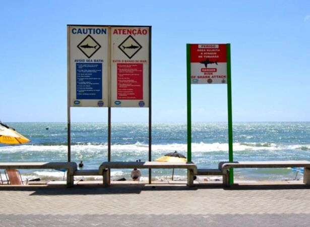 Placas de tubar&atilde;o em praia de Pernambuco.