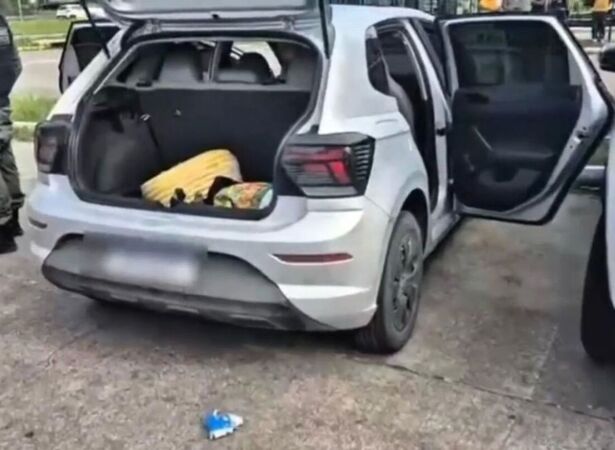 Durante a a&ccedil;&atilde;o, os policiais apreenderam duas armas e localizaram uma caminhonete roubada e um carro adulterado.