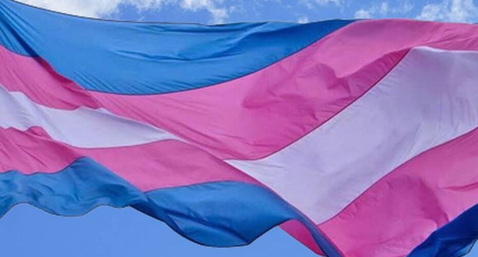 Bandeira Trans.