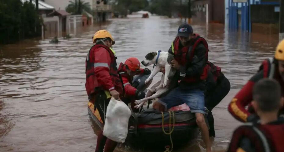 Cachorro sendo resgatado por homens no Rio Grande do Sul.