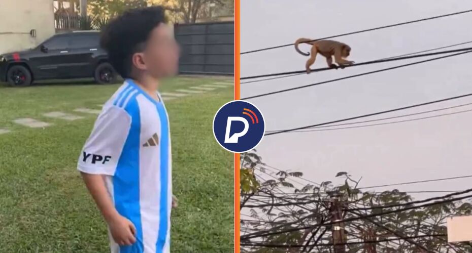 Criança ARGENTINA é filmada chamando macaco de VINÍCIUS JR e causa espanto.