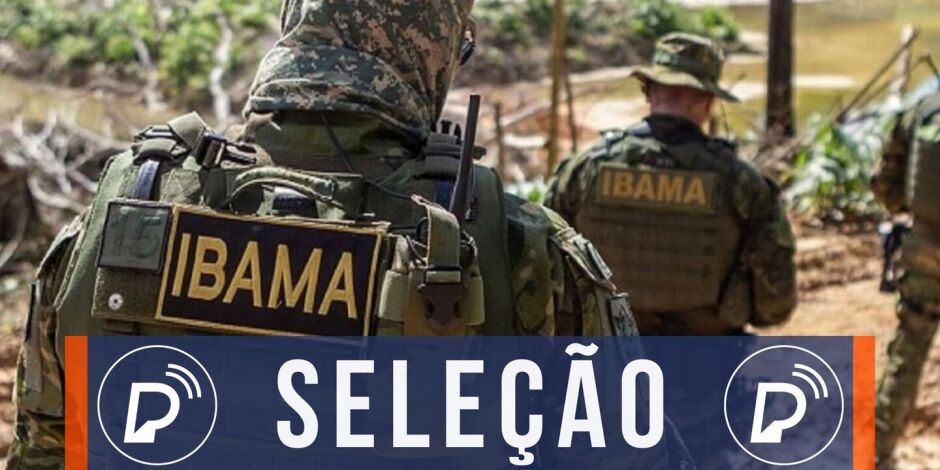 Sele&ccedil;&atilde;o IBAMA. 