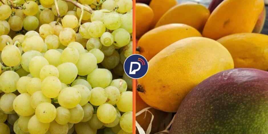 As estrelas do Sert&atilde;o Pernambucano.