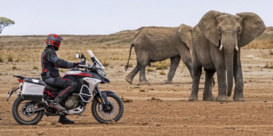 Multistrada V4 Rally