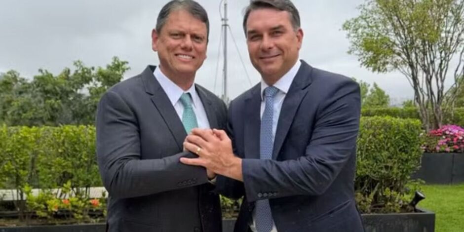 Flavio Bolsonaro e Tarsicio de Freitas juntos.