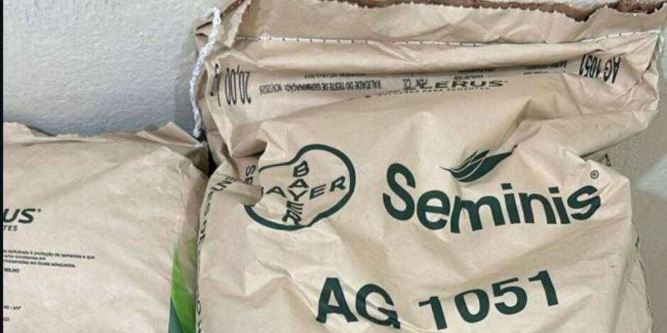 Prefeitura de Abreu e Lima come&ccedil;a a distribui&ccedil;&atilde;o das sementes de milho e adubo.