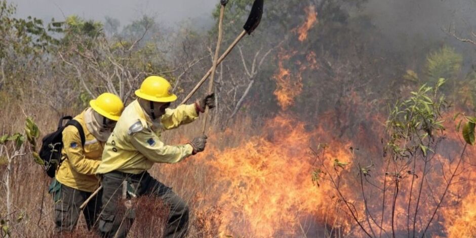 Brigadistas fazendo combate ao  Inc&ecirc;ndio florestal.
