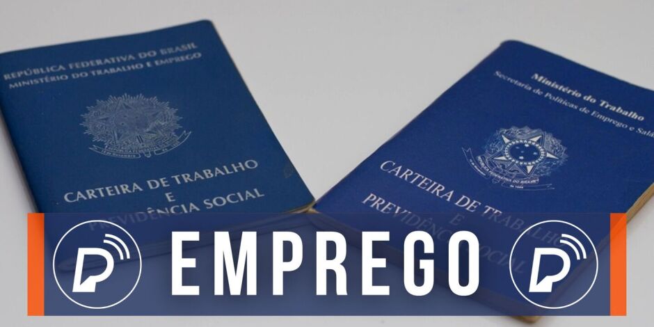 Do total das vagas, 24 oportunidades s&atilde;o exclusivamente para PCD.