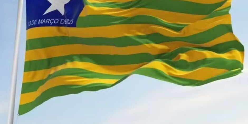 Bandeira do Piau&iacute;.