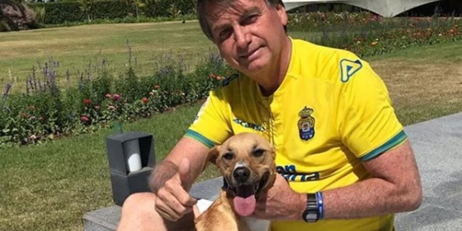 Cachorro caramelo de Bolsonaro morde policiais militares durante ronda de pris&atilde;o domiciliar