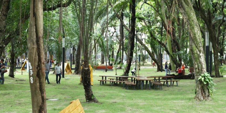 Concerto no Parque da Tamarineira, no Recife.