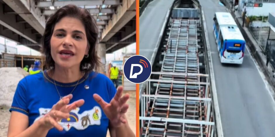 Vice-governadora, Priscila Krause (PSD).