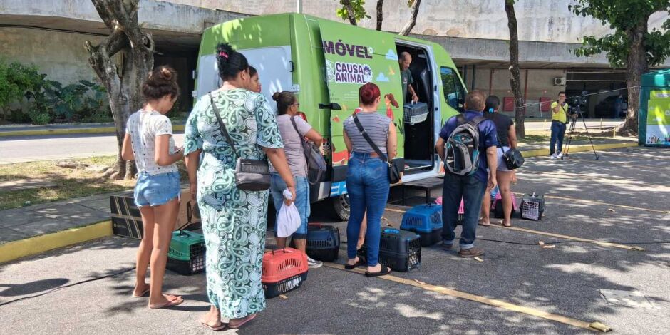 Realiza&ccedil;&atilde;o do mutir&atilde;o de castra&ccedil;&atilde;o de pets no Centro de Conven&ccedil;&otilde;es