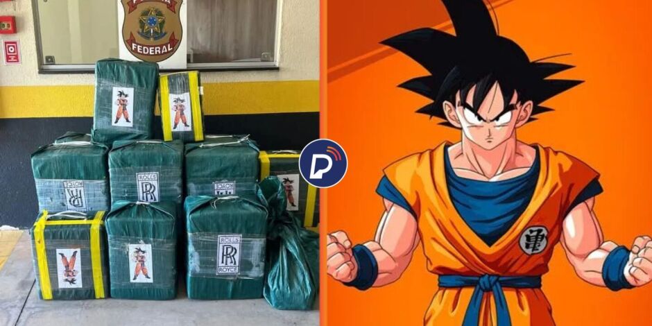 PF apreende mais de meia tonelada de coca&iacute;na com embalagem do personagem Goku