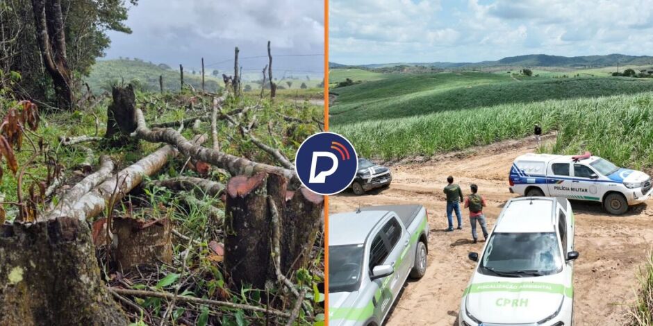 Opera&ccedil;&atilde;o Mata Atl&acirc;ntica em P&eacute; 2026