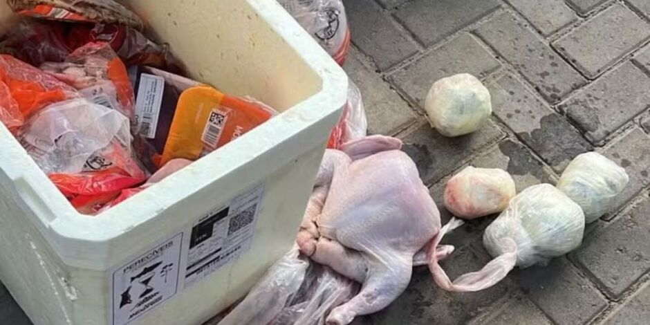 Uma carga de frangos congelados transportada em um voo procedente do Recife.