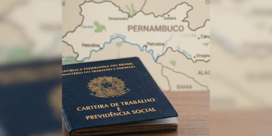 Os candidatos devem verificar individualmente os requisitos de escolaridade, experi&ecirc;ncia e qualifica&ccedil;&atilde;o exigidos para cada fun&ccedil;&atilde;o.