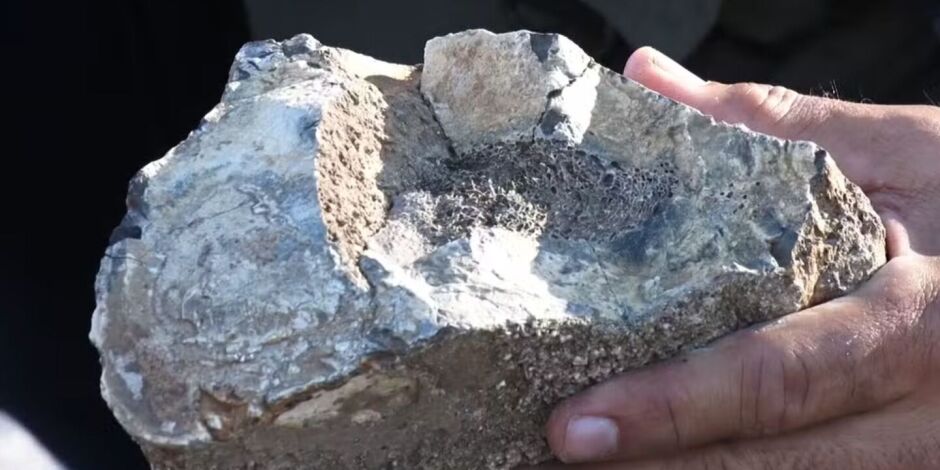 F&oacute;ssil de medula de pregui&ccedil;a-gigante &eacute; encontrado em s&iacute;tio de Caruaru.