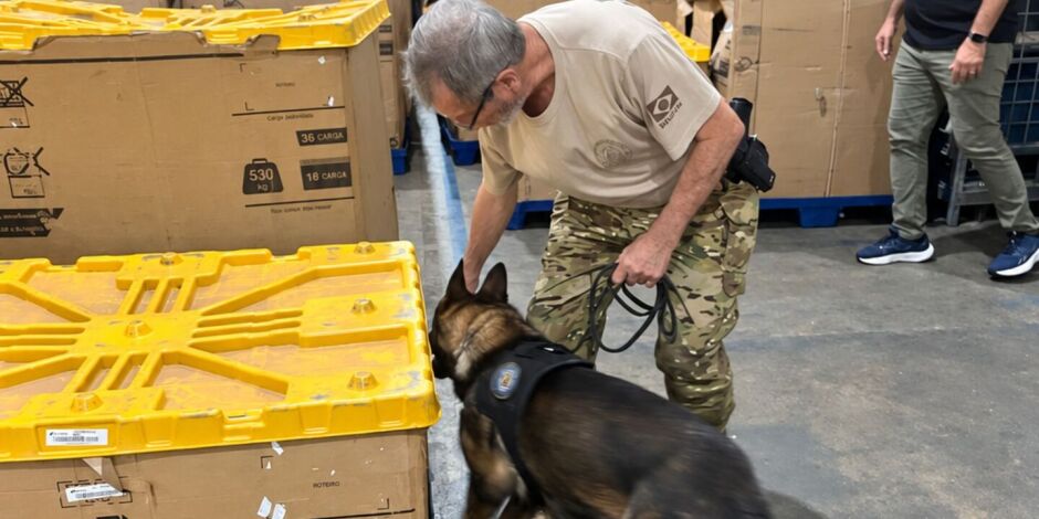 Opera&ccedil;&atilde;o usou c&atilde;o farejador para encontrar o material il&iacute;cito.