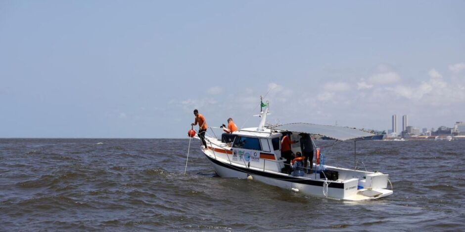 Monitoramento cient&iacute;fico de tubar&otilde;es no litoral da Regi&atilde;o Metropolitana do Recife.