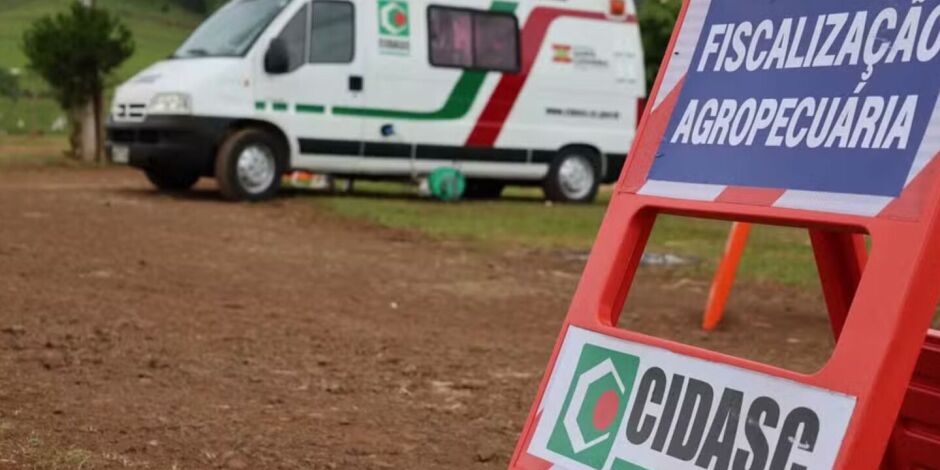 Minist&eacute;rio confirma novo foco de doen&ccedil;a de Newcastle em granja de Santa Catarina.