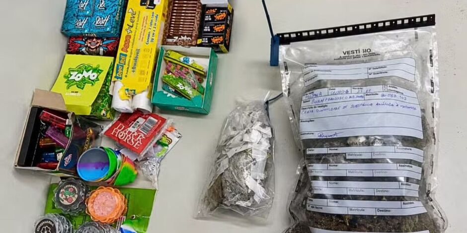 A express&atilde;o "delivery de playboy" foi empregada pela pol&iacute;cia para caracterizar a modalidade de venda investigada. 