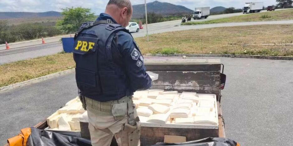 A vistoria no ve&iacute;culo constatou a carga aliment&iacute;cia transportada de forma irregular.