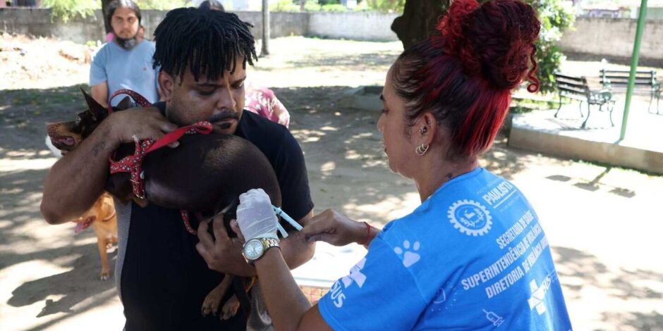 Vacina&ccedil;&atilde;o de cachorro em Paulista.