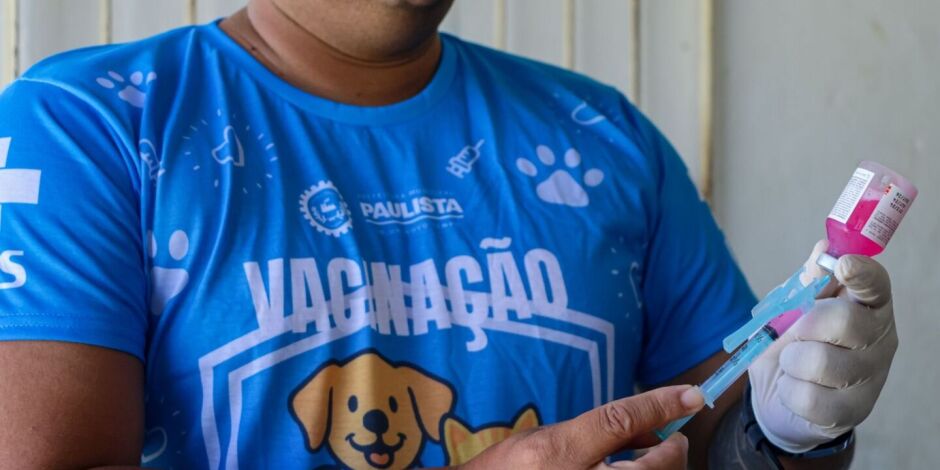 Vacinas c&atilde;es e gatos em Paulista.