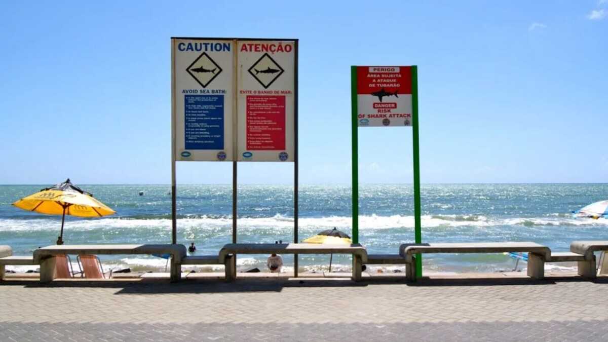 Alerta de tubarões e afogamentos: Cemit orienta banhistas nas praias de Pernambuco