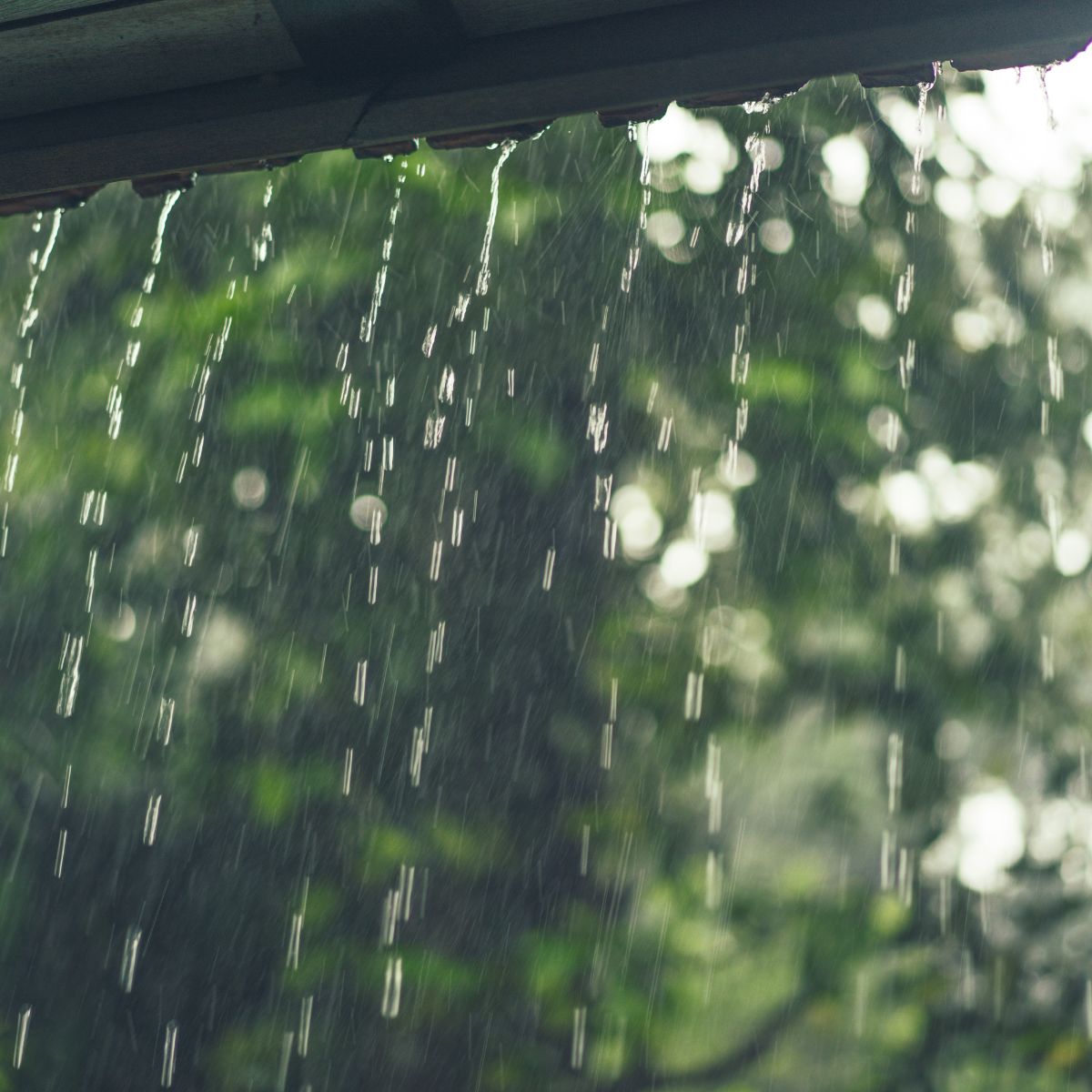 Chuva.