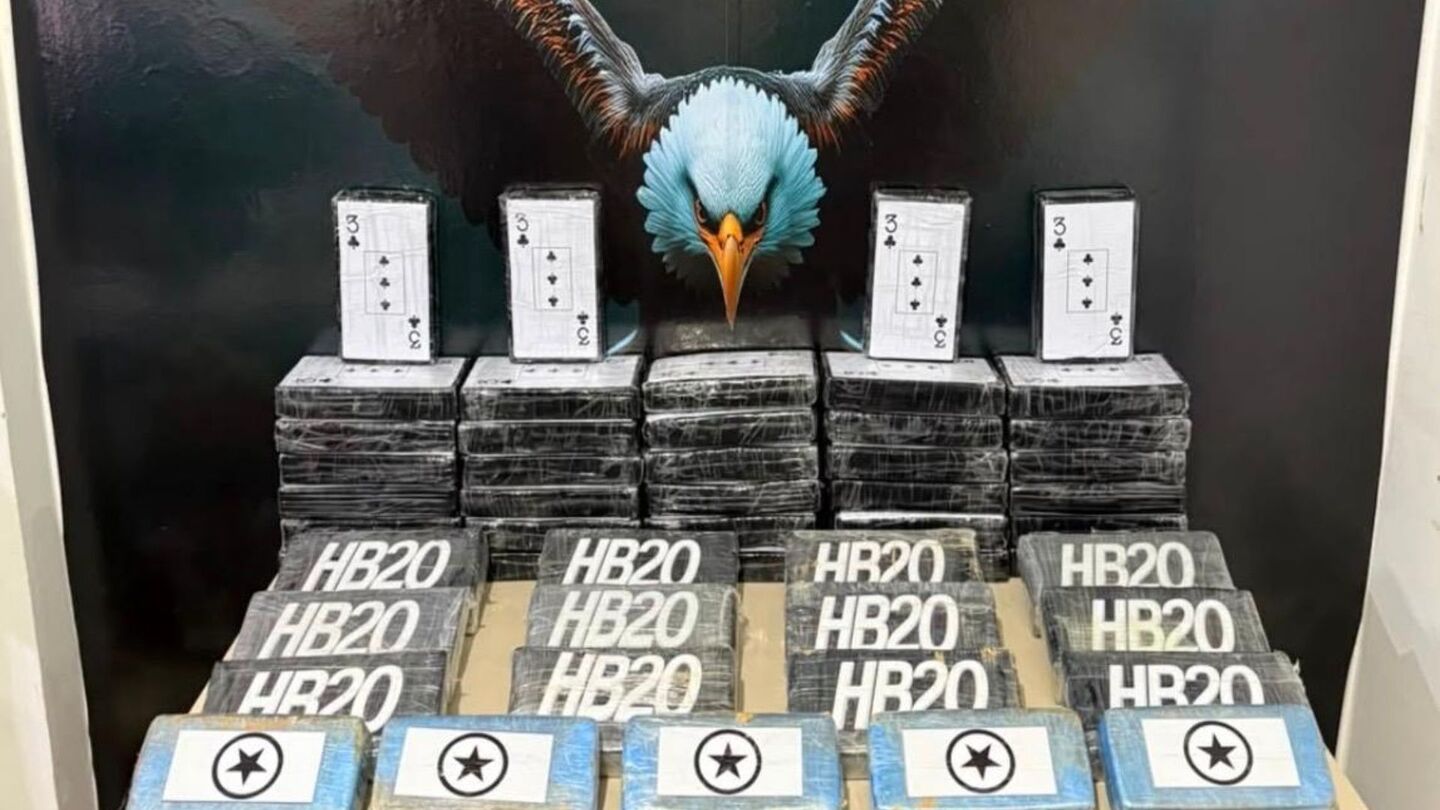 Petrolina: Polícia Civil apreende mais de 53 kg de drogas e prende dois suspeitos