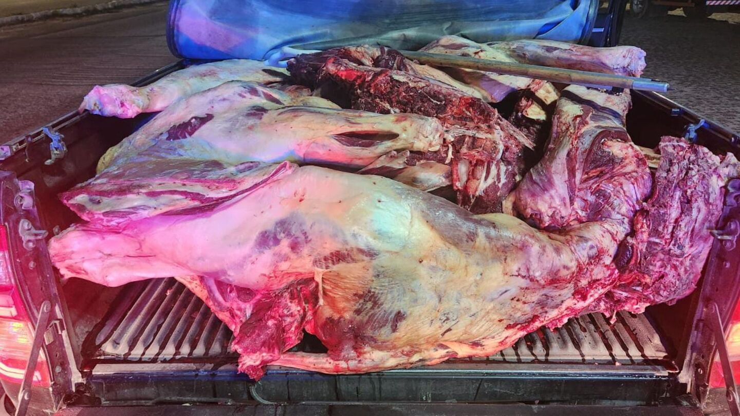 PRF apreende 800 kg de carne bovina sem refrigeração em Garanhuns (PE).