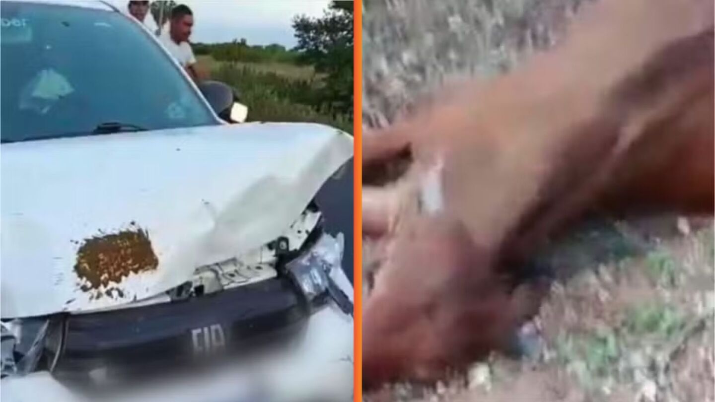 Filho do cantor Neto Araújo sofre acidente a caminho do velório do pai.